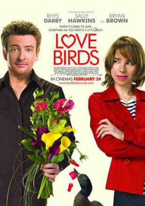 Love Birds 2011 