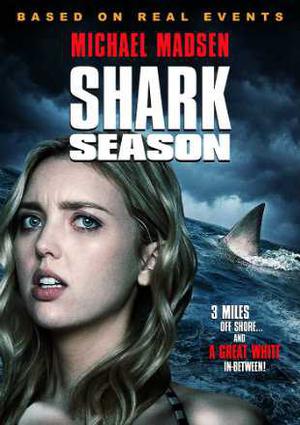 Shark Season 2020 