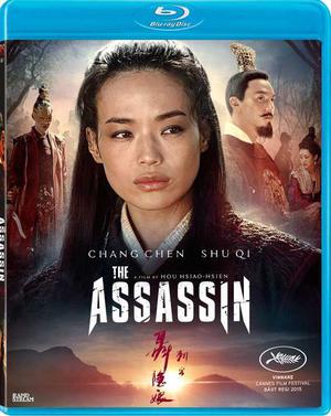 The Assassin 2015 